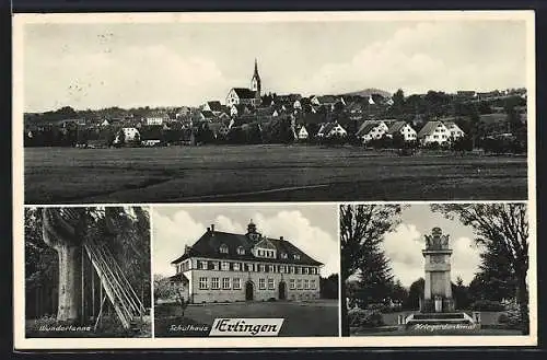 AK Ertingen, Kriegerdenkmal, Schulhaus, Wundertanne, Gesamtansicht
