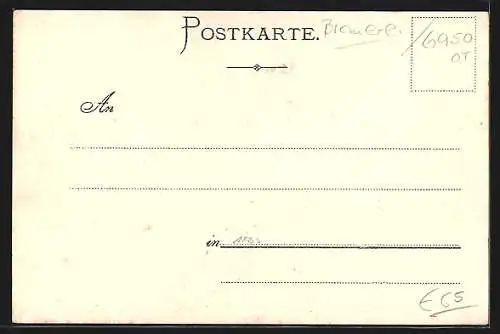 Lithographie Ernstthal /Odenwald, Gasthaus zur Post, Schloss Waldleiningen, Totalansicht
