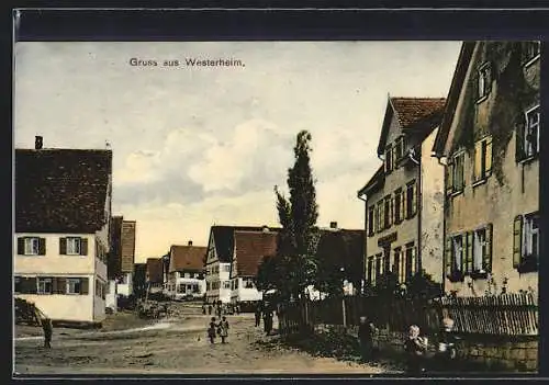 AK Westerheim / Württ., Strassenpartie