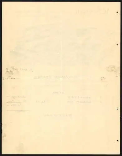 Rechnung Göppingen 1909, W. Speiser, Fabrik landwirtschaftlicher Maschinen, Das Betriebsgelände mit eigener Gleisanlage