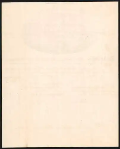 Rechnung Göppingen 1892, Heilanstalt, Totalansicht des Geschäftsgeländes