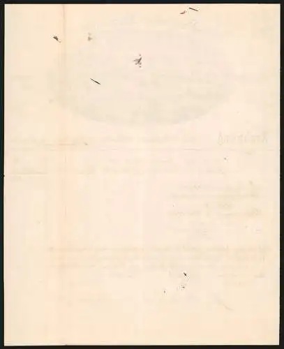 Rechnung Göppingen 1891, Heilanstalt, Totalansicht des Geschäftsgeländes