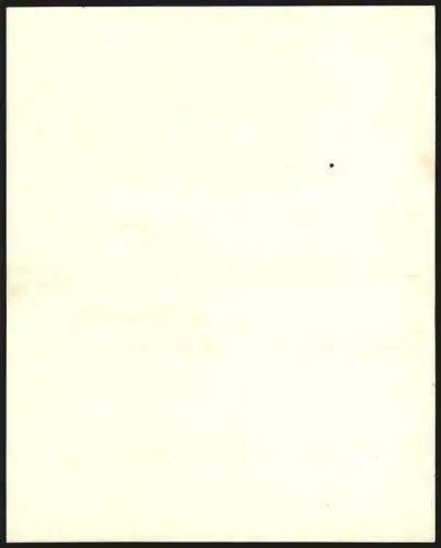 Rechnung Göppingen 1893, Heilanstalt, Gesamtansicht des Geschäftsgeländes