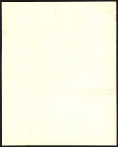 Rechnung Göppingen 1893, Heilanstalt, Totalansicht des Geschäftsgeländes
