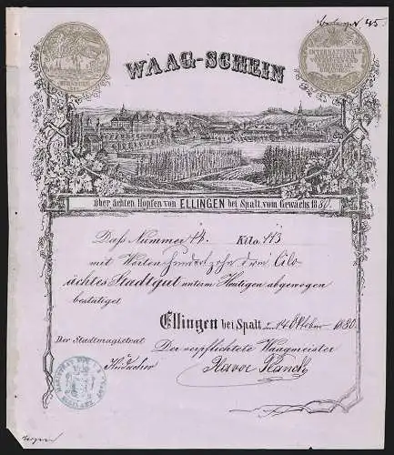 Rechnung Ellingen bei Spalt 1880, Waag-Schein, Hopfenverkauf, Anbaugebiet mit Blick auf die Ortschaft, Auszeichnung