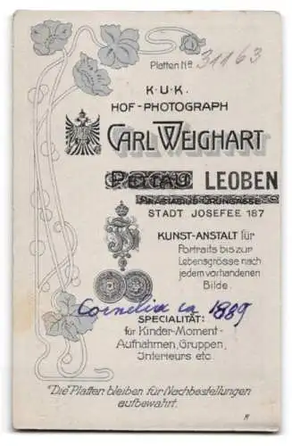 Fotografie Carl Weighart, Leoben, Stadt Josefee 187, Portrait elegante Dame mit Brille und Schleife