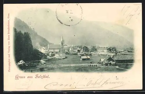 AK Selzthal, Teilansicht mit Kirche