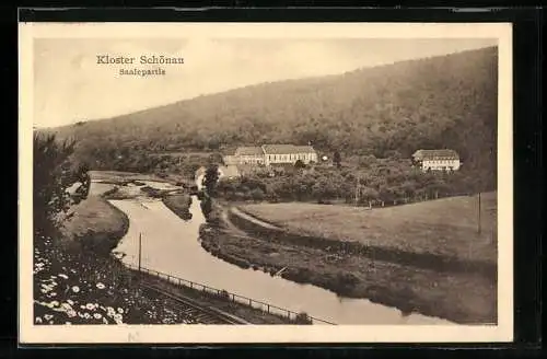 AK Schönau / Main, Saalepartie aus der Vogelschau