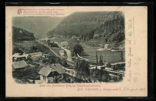 AK Bad Liebenzell i. Schwarzwald, Blick vom Monakamer Berg ins Nagoldthal aufwärts