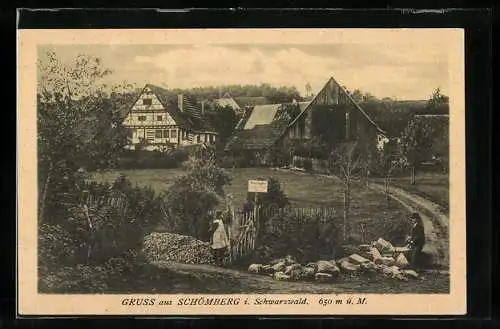 AK Schömberg i. Schwarzwald, Ansicht mit Gehöften