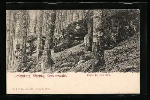 AK Schömberg /Württbg. Schwarzwald, Partie im Eulenloch