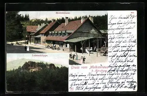 AK Harzburg, Am Gasthaus Molkenhaus, Blick zur Leistenklippe