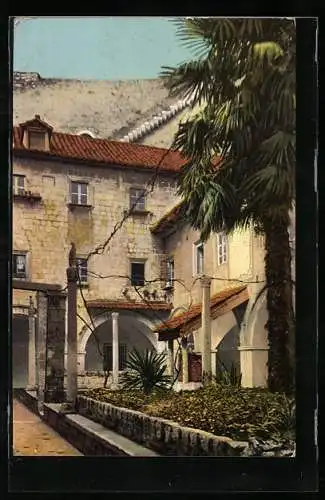 AK Dubrovnik, Mala Braca, Palme im Hof