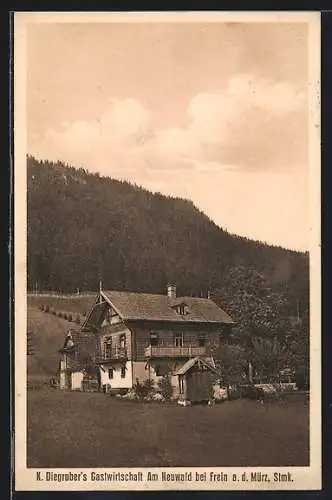 AK Frein an der Mürz, K. Diegruber`s Gasthaus am Neuwald