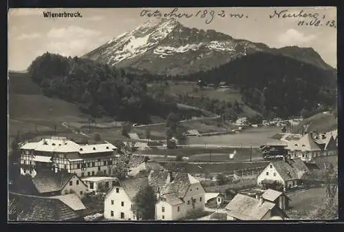AK Wienerbruck, Teilansicht mit Oetscher und Neuberg