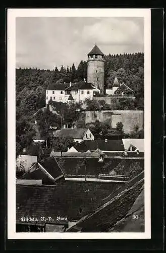 AK Litschau /N.-D., Blick zur Burg