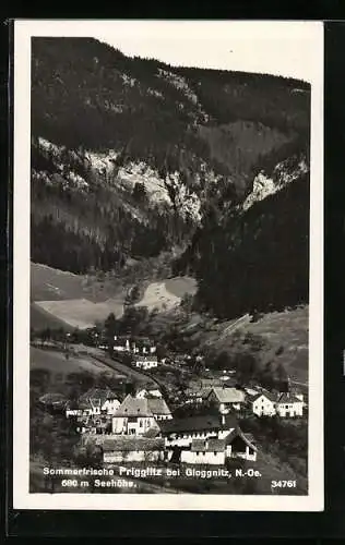 AK Prigglitz bei Gloggnitz, Ortsansicht aus der Vogelschau