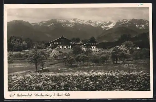 AK Wackersberg b. Bad Tölz, Blick auf Gut Bohmerhof