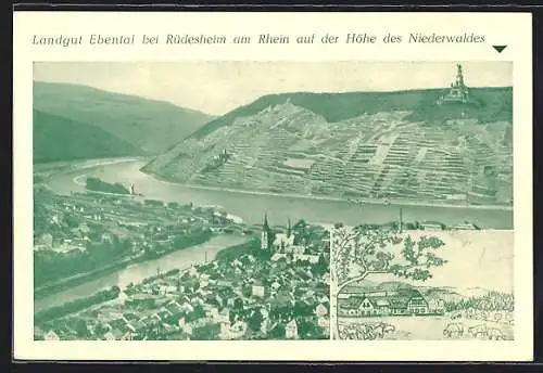 AK Rüdesheim am Rhein, Landgut Ebental, Bes. Wilhelm Bender