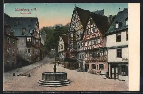 AK Miltenberg, Marktplatz mit Brunnen