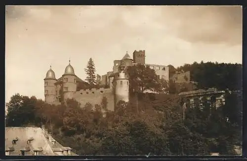 AK Wertheim a. M., Blick auf das Schloss