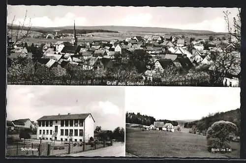 AK Steinfeld / Lohr, Panorama, Schulhaus