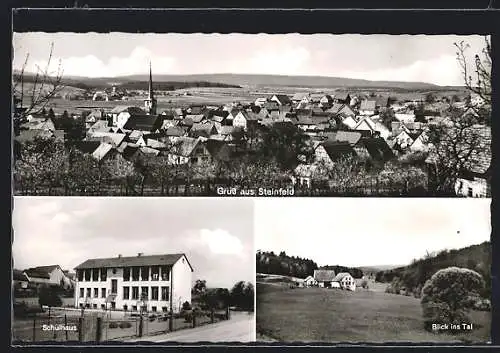 AK Steinfeld / Main, Panorama, Schulhaus
