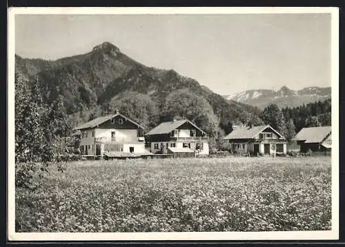 AK Lenggries, Geigerstein mit blühender Wiese