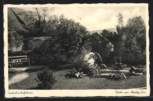 AK Tauberbischofsheim, Partie am Stadtgraben