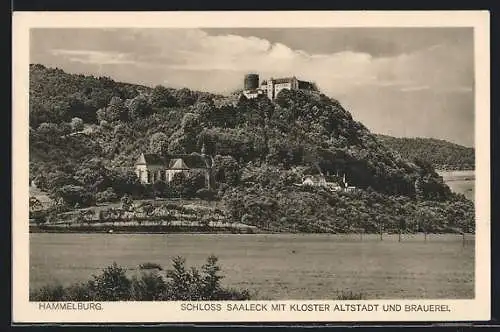 AK Hammelburg, Schloss Saaleck mit Kloster Altstadt und Brauererei