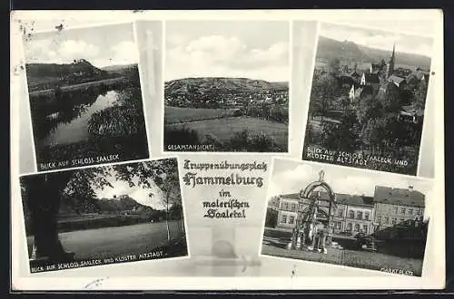 AK Hammelburg /Saale, Totalansicht, Blick zum Schloss Saaleck, Kloster Altstadt, Marktplatz