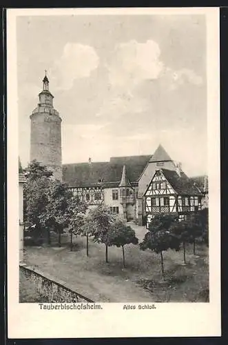 AK Tauberbischofsheim, Altes Schloss mit Park