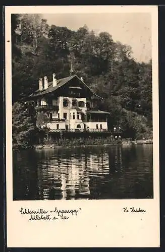 AK Millstatt a. See, Schlossvilla Grossegg