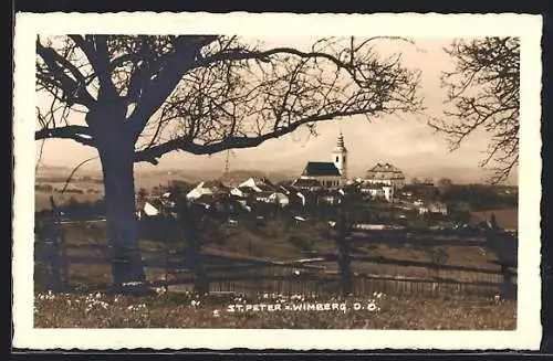 AK St. Peter a. Wimberg, Ortsansicht mit Bäumen