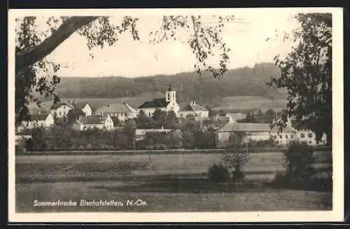 AK Bischofstetten /N.-Oe., Ortspartie mit Kirche