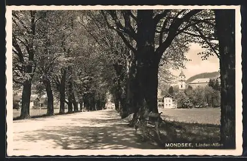 AK Mondsee, Linden-Allee mit Kirche