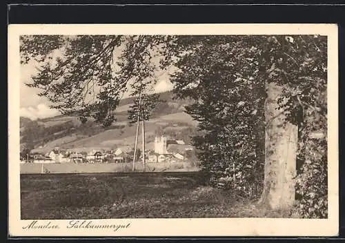 AK Mondsee, Salzkammergut, Teilansicht mit Baum