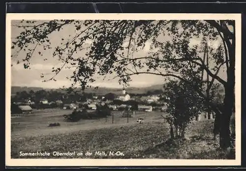 AK Oberndorf an der Melk, Blick über die Wiese zum Ort hinüber