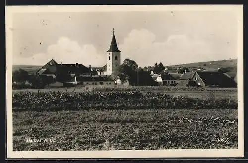 AK Hadres /N.-Ö, Teilansicht mit Kirche