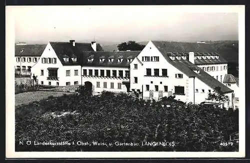 AK Langenlois /N.-Ö., Landeskursstätte für Obst-Wein- und Gartenbau