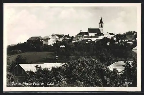 AK Peilstein /O.-Oe., Teilansicht mit Kirche