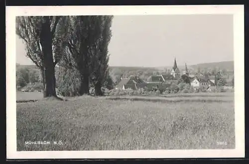 AK Mühlbach /N.-Ö., Ortspartie mit Kirche