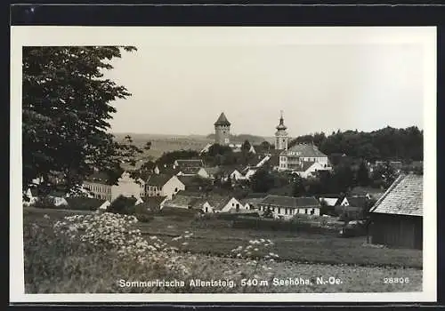 AK Allentsteig, Ortsansicht mit Kirchturm