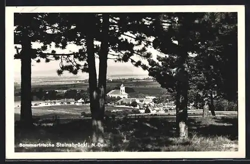 AK Steinabrückl /N.-Ö., Ortsansicht zwischen Bäumen hindurch