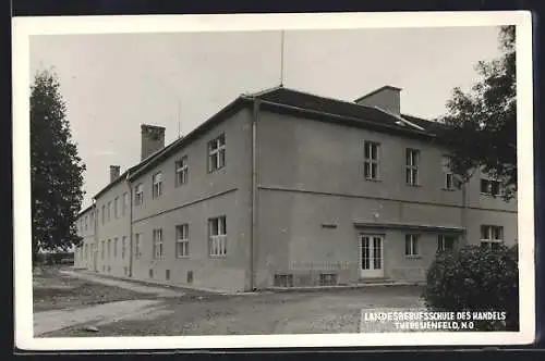 AK Theresienfeld, Die Landesberufsschule des Handels