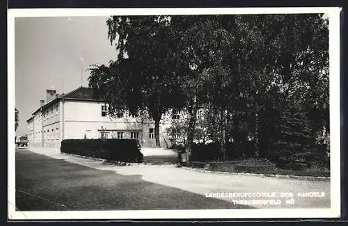 AK Theresienfeld /N.-Ö., Landesberufsschule des Handels