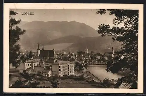 AK Leoben, Panorama