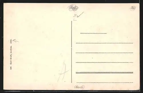 AK Leoben, Ortsansicht vom Fluss aus