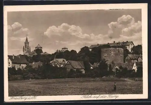 AK Friedberg i. H., Blick auf die Burg