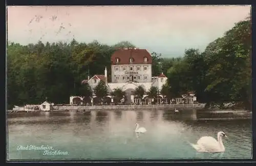 AK Bad Nauheim, Teichhaus mit Schwänen